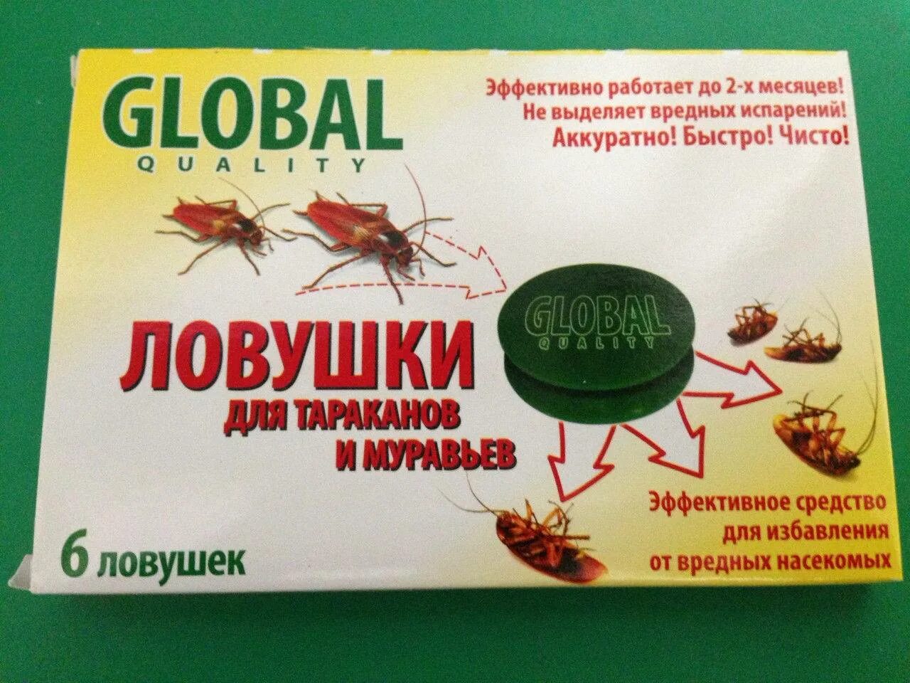 Тараканы вызов на дом