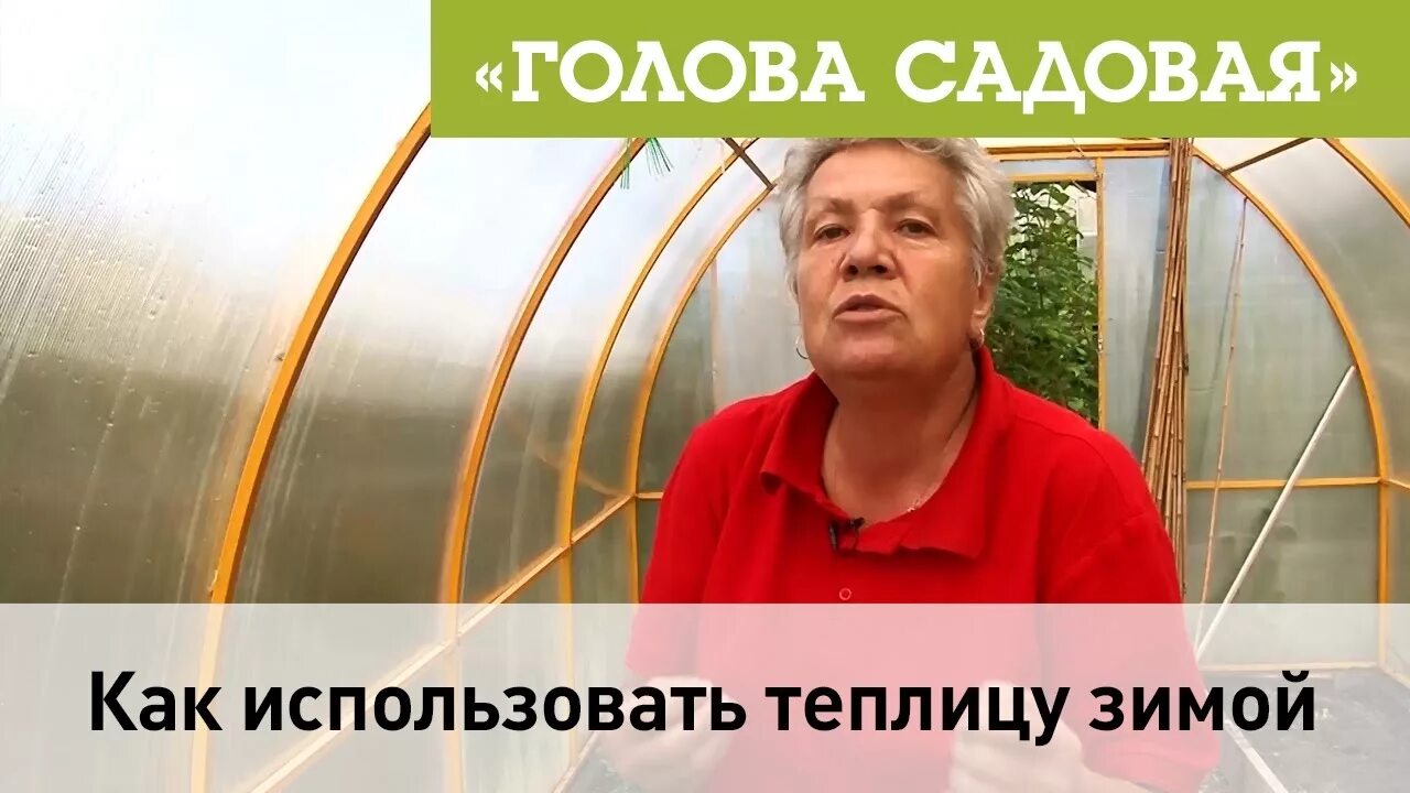 Голова садовая блоггер. Канал голова садовая. Голова садовая с тетей таней. Канал голова садовая. Канал голова садовая.