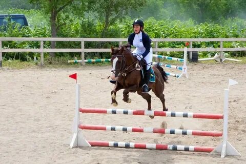 Вид препятствия в конном спорте 7 букв