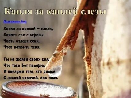 Слезная капель 5 букв