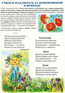 Наблюдение в средней группе август