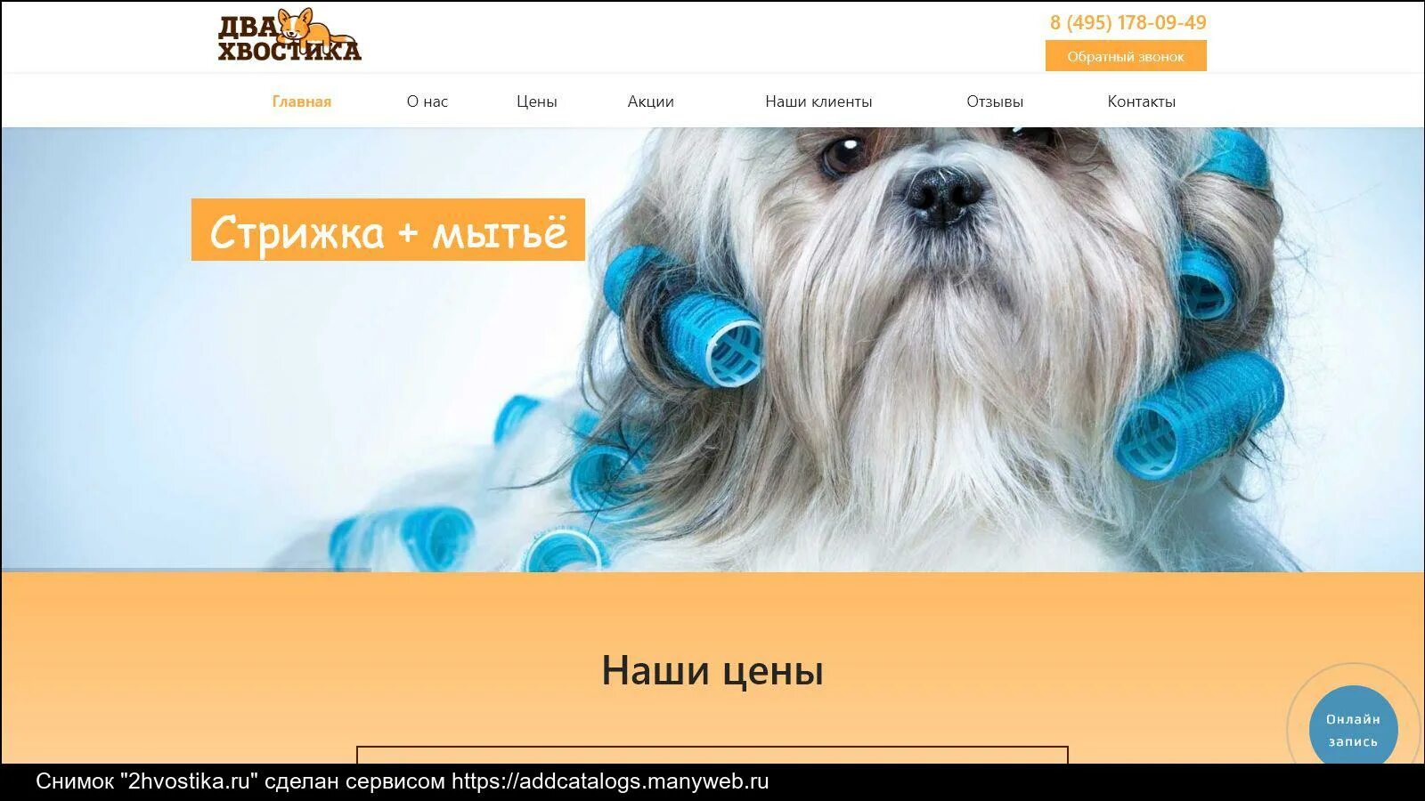 Грумер. Обложка ветеринарный паспорт йоркширский терьер. Паффи грум. Моя стрижка мытищи. Груминг мытищи.