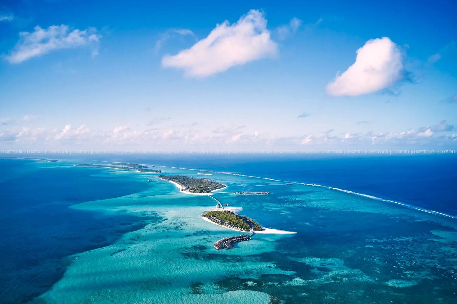 Джавакара. Журавль сайрус. Отель jawakara islands maldives. Джавакара. Джавакара.