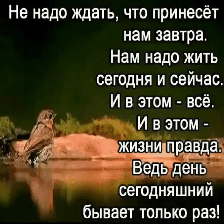 Сейчас не надо что то такое. Надо жить здесь и сейчас. надо жить здесь и сейчас цитаты. жить надо сегодня. цитаты жить надо сегодня.