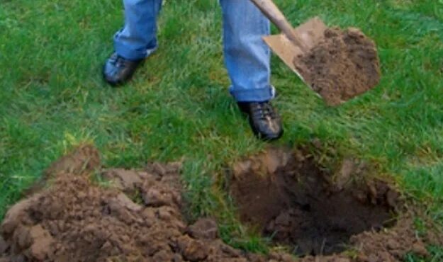 Digging holes. Digging a hole. Planting hole digging. Dig Post holes. Manual digging of the Earth.