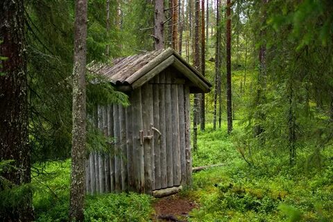 Что есть в лесу