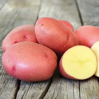 Картофель эволюшен