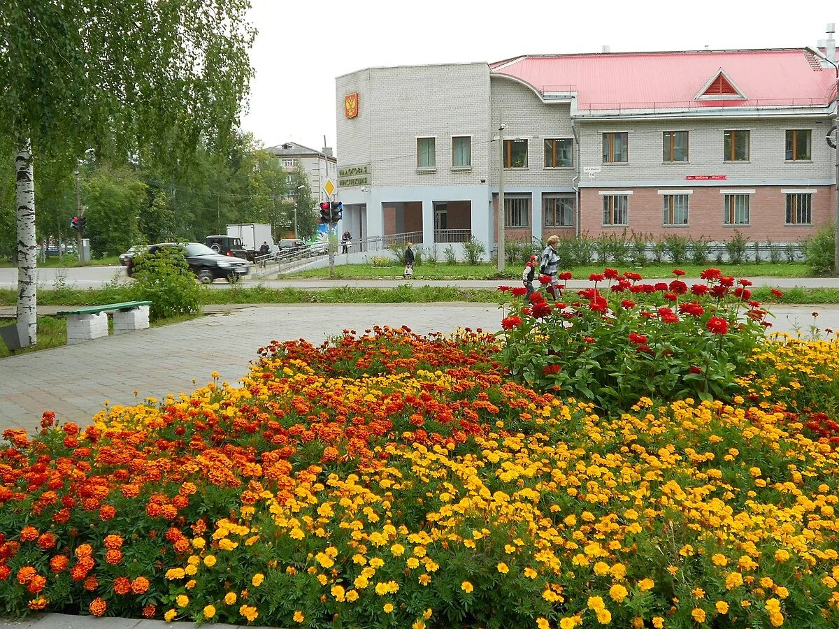 Котлас отдых. Котлас город. котлас архангельская область. котлас лето. ддт котлас.