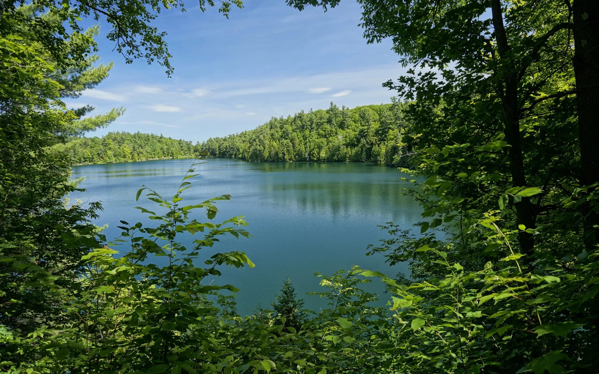 Озеро в лесу sqwoz. Лесное озеро (forest lake). Лесное озеро (forest lake). Озеро леушинский туман. Озеро теняк.
