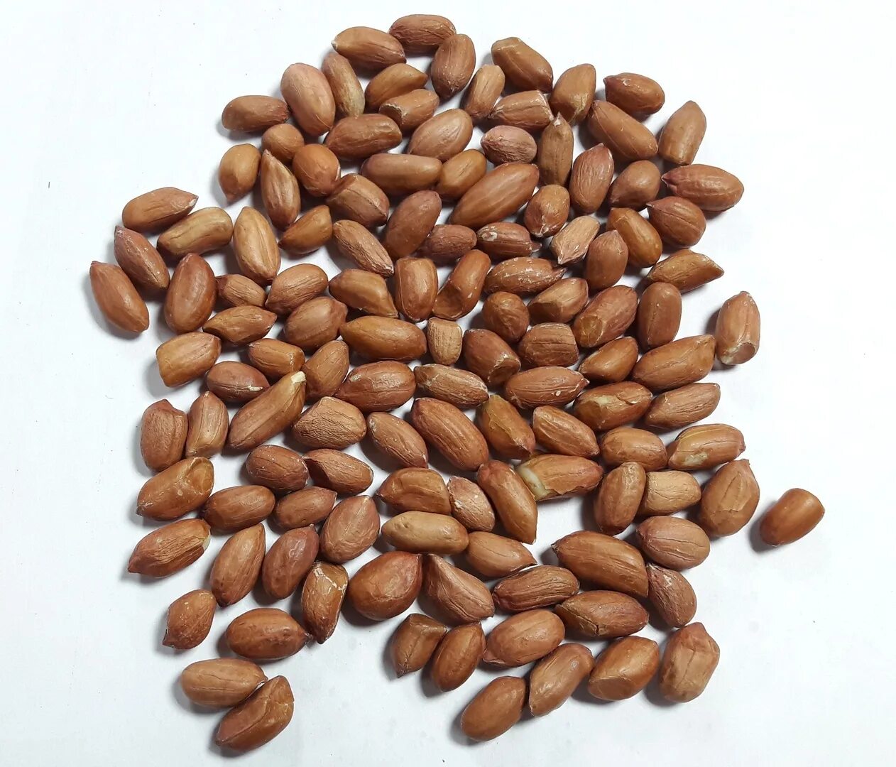 Арахис Индия. Калибр арахис 50/60. Арахис очищенный 40/50 Индия. Сорта арахиса индийский.