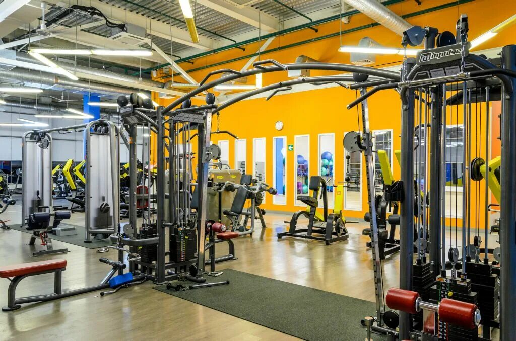 алекс филион. алекс фитнес филион. алекс филион. алекс фитнес филион. алекс фитнес филион.