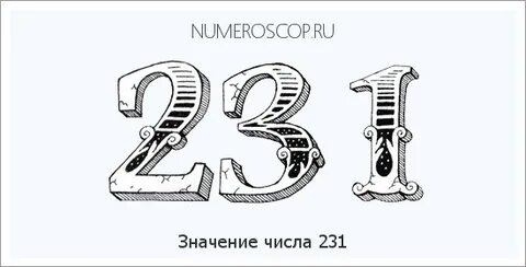 231