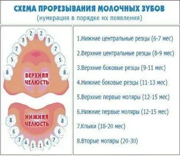 Температура у ребенка прорезался зуб