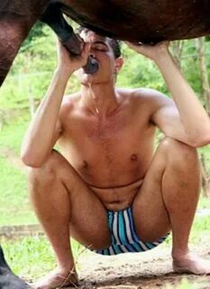 Horse Sucks Guys Dick 