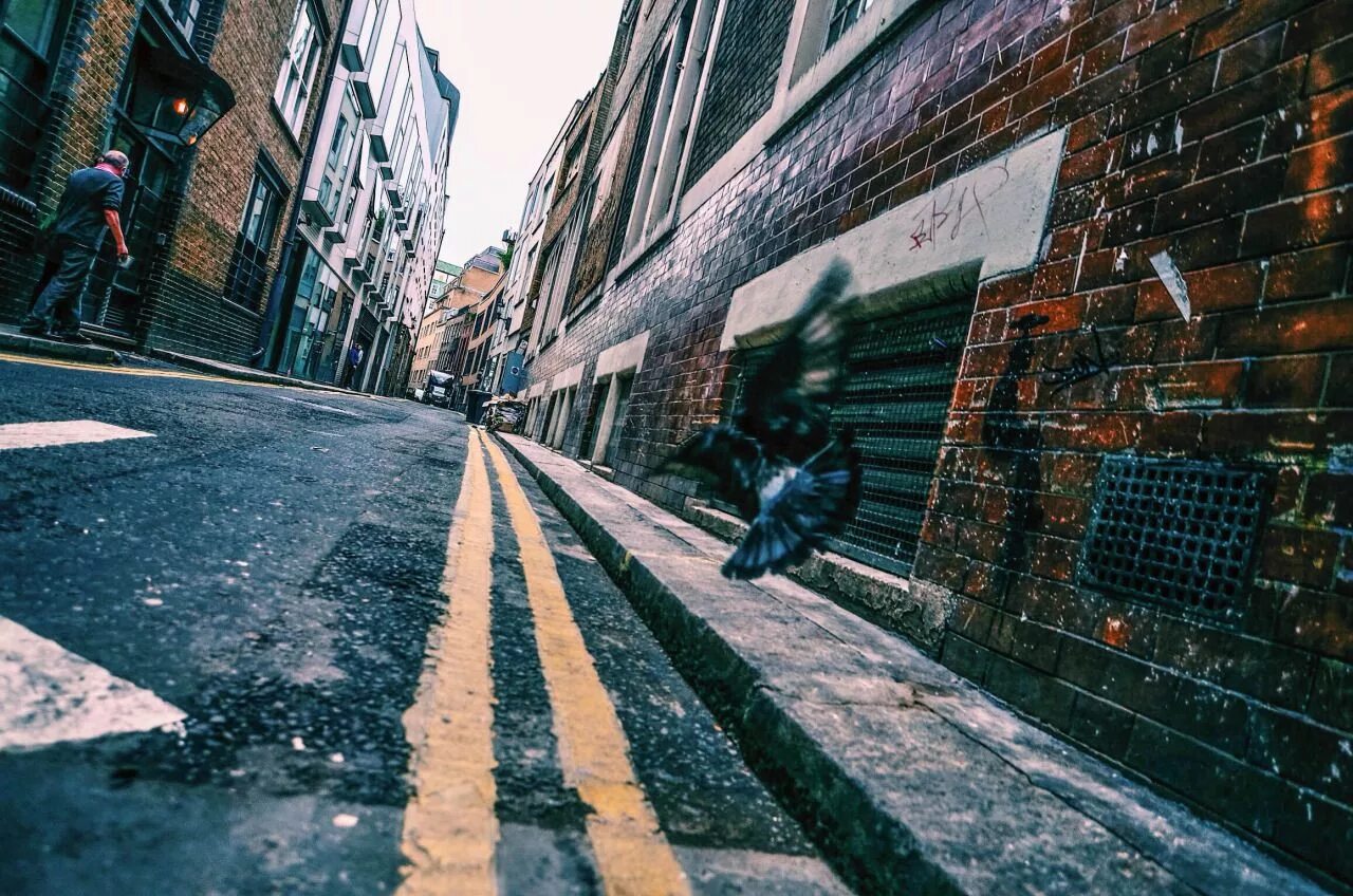 Gone street