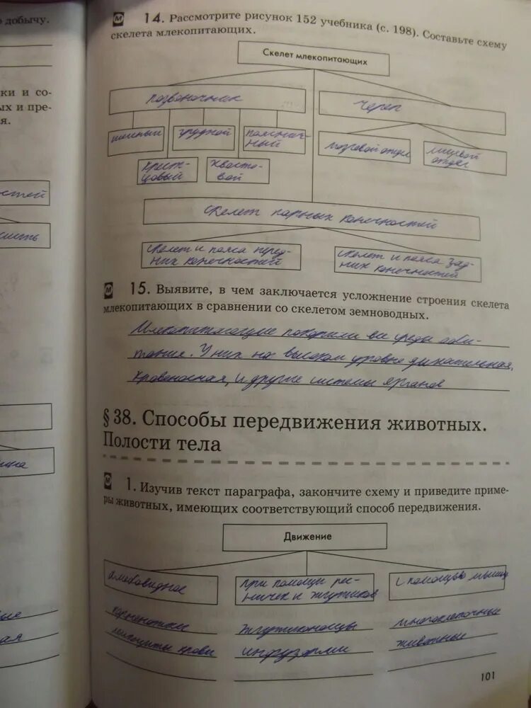 Заполните таблицу передвижение животных. Способы передвижения животных 7 класс биология. способы передвижения животных полости тела 7 класс. таблица по биологии способы передвижения животных полости тела. способы передвижения животных полости тела 7 класс биология.