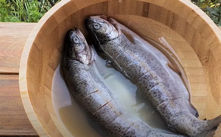 Горбуша соленая в рассоле. Селедка в молоке. Вымачивание соленой рыбы. Рыбу замочить в воде. Соленая красная рыба в рассоле.