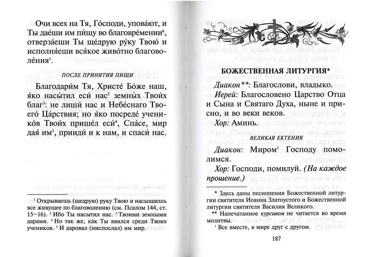 Литургия текст. Толковый молитвослов с текстами литургии и всенощной. Молитва на литургии. Служба церковная текст. Воскресная служба текст