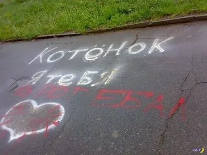 Я тебя люблю смешные картинки
