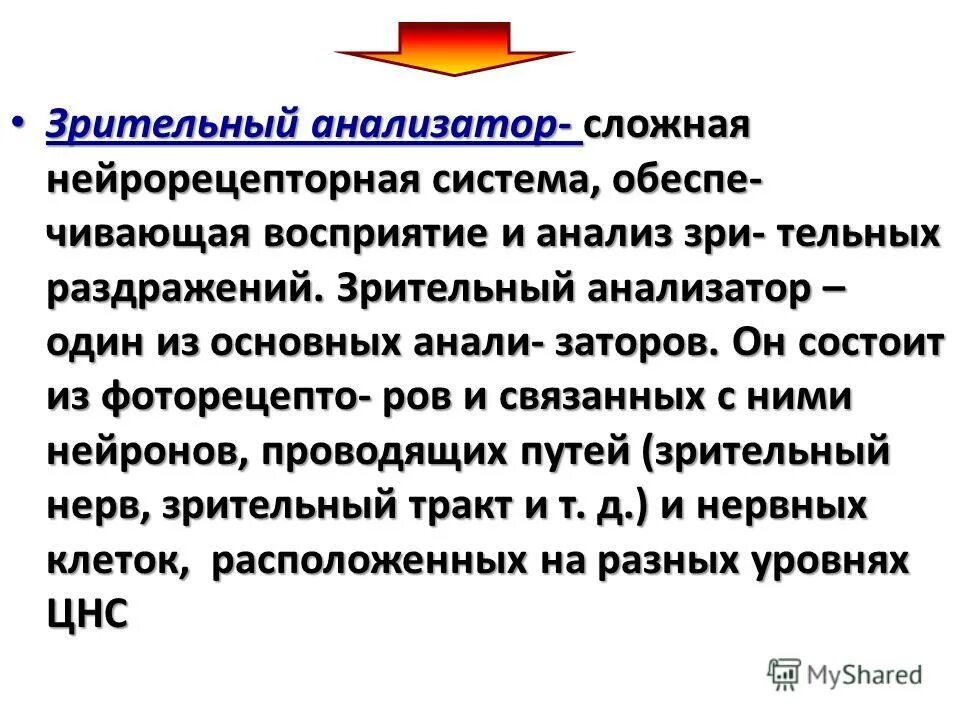 Восприятие зрительных раздражений. Краткие сведения о работе глаза. Раздражители внешней среды. Анализ зрительных раздражений. Принцип анализа и синтеза.