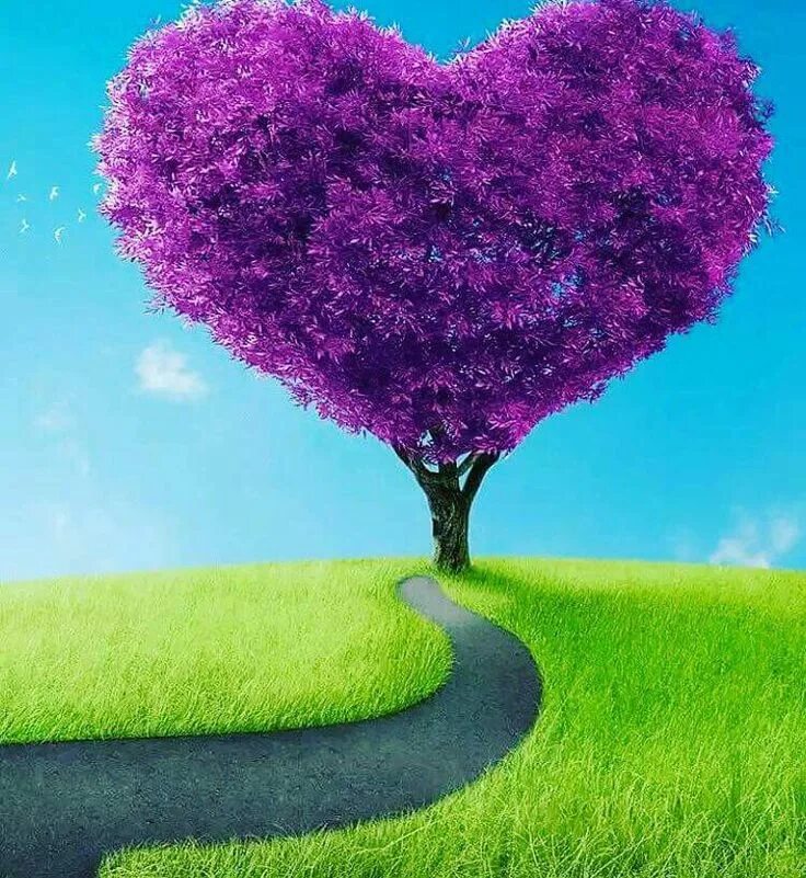 Дерево сердце. Красивое дерево сердце. Дерево в виде сердца. Дерево с сердечками. I love nature