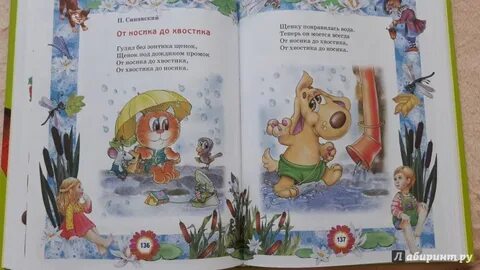 Гулял без зонтика щенок