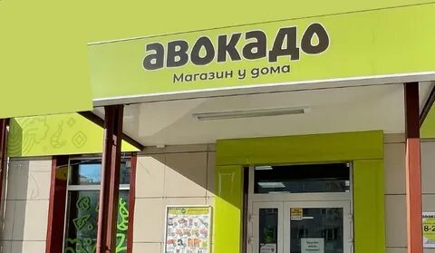 Авокадо магазин