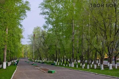Бор нижегородская улица