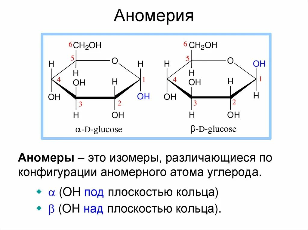 Моносахариды 6 атомов углерода