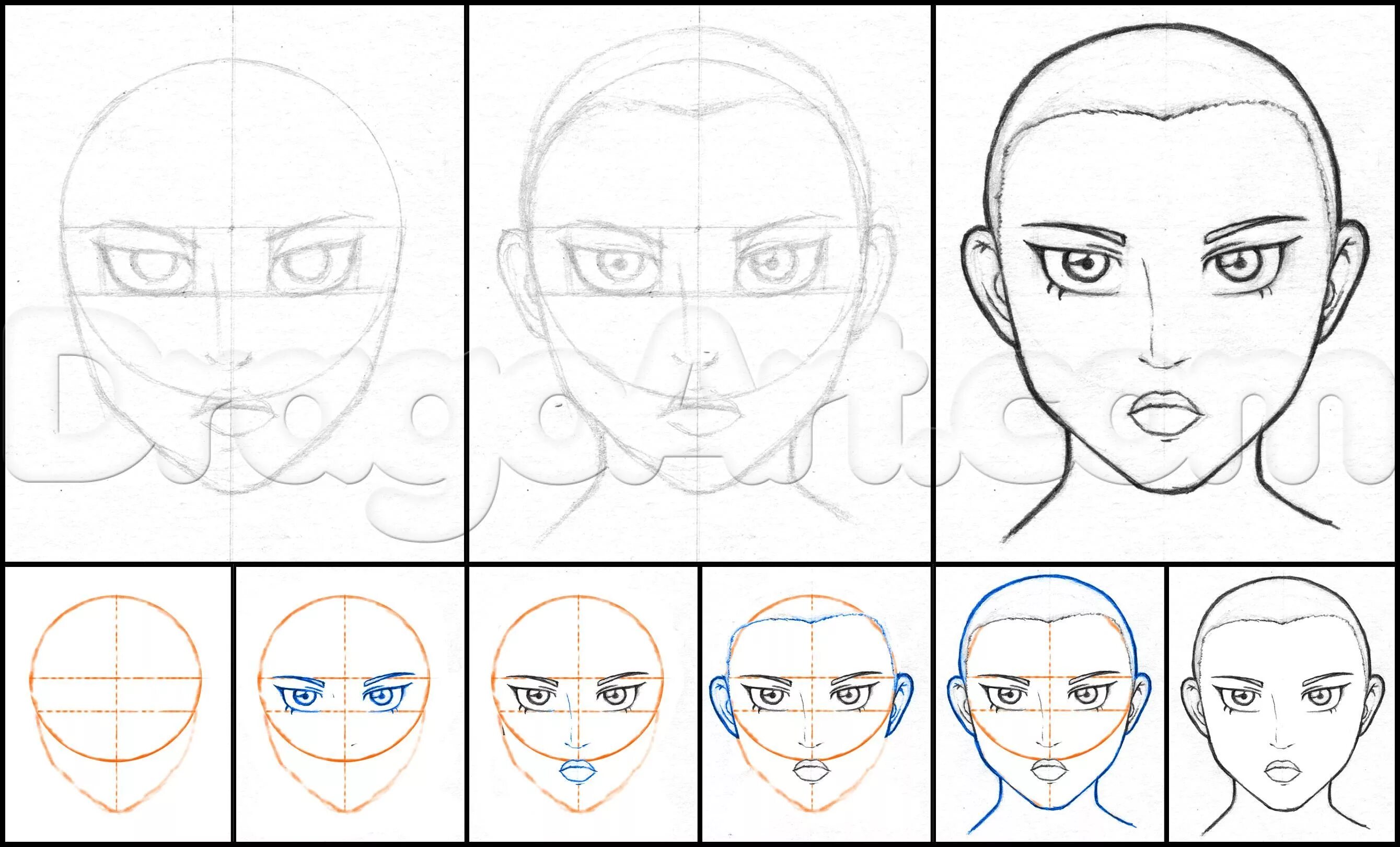 Поэтапное рисование лица. Рисунок карандашом для начинающих лицо. Рисование лица поэтапно карандашом для начинающих. Поэтапное рисование лица человека карандашом.