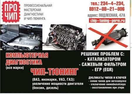 Чип пермь