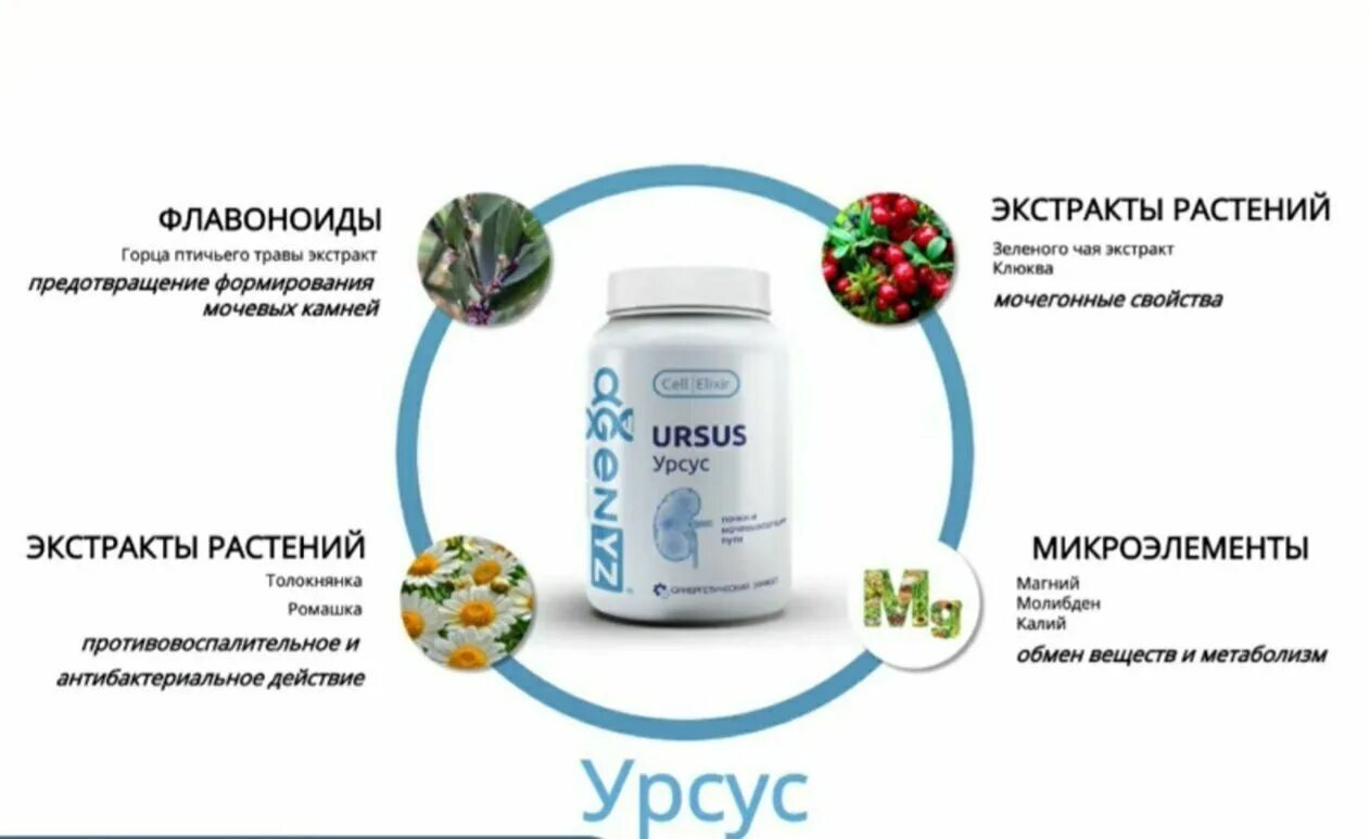 Agenyz продукция каталог с ценами. Бады agenyz. Альфадженис. Селлгенетикс. Продукция адженис.