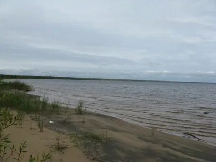 Пр морье пр емлемый беспр страстный