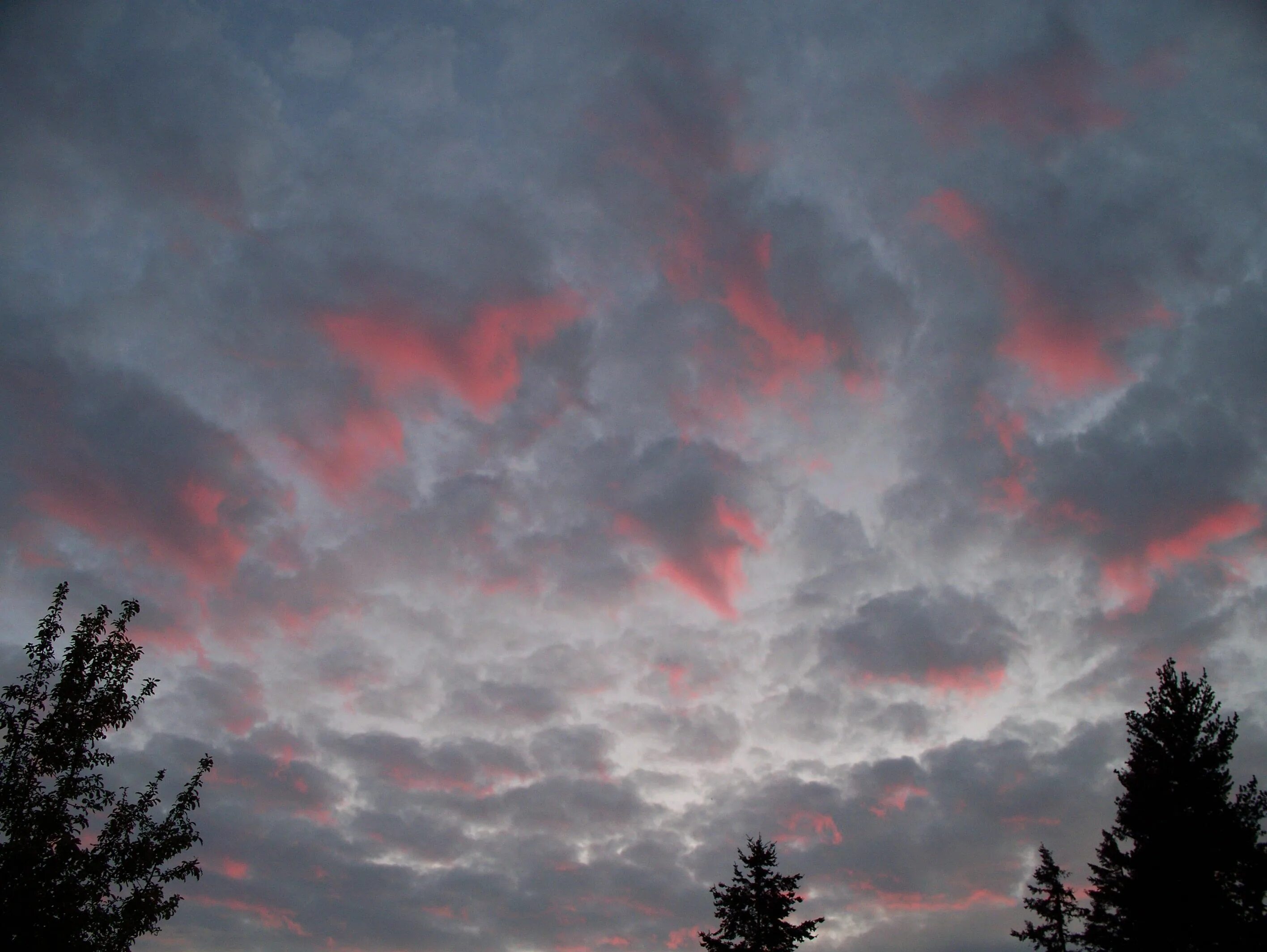 Розовые кровавые облака. Серым облакам наплевать на нас. Серые пятнистые облака. Red clouds Gray.