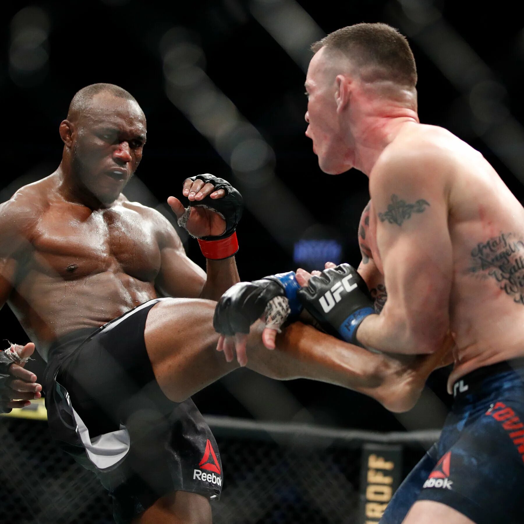 Сирил ган юфс. Чарльз джонсон мокаев. Ufc ислам махачев. Борьба в юфс 5. Борьба в юфс 5.