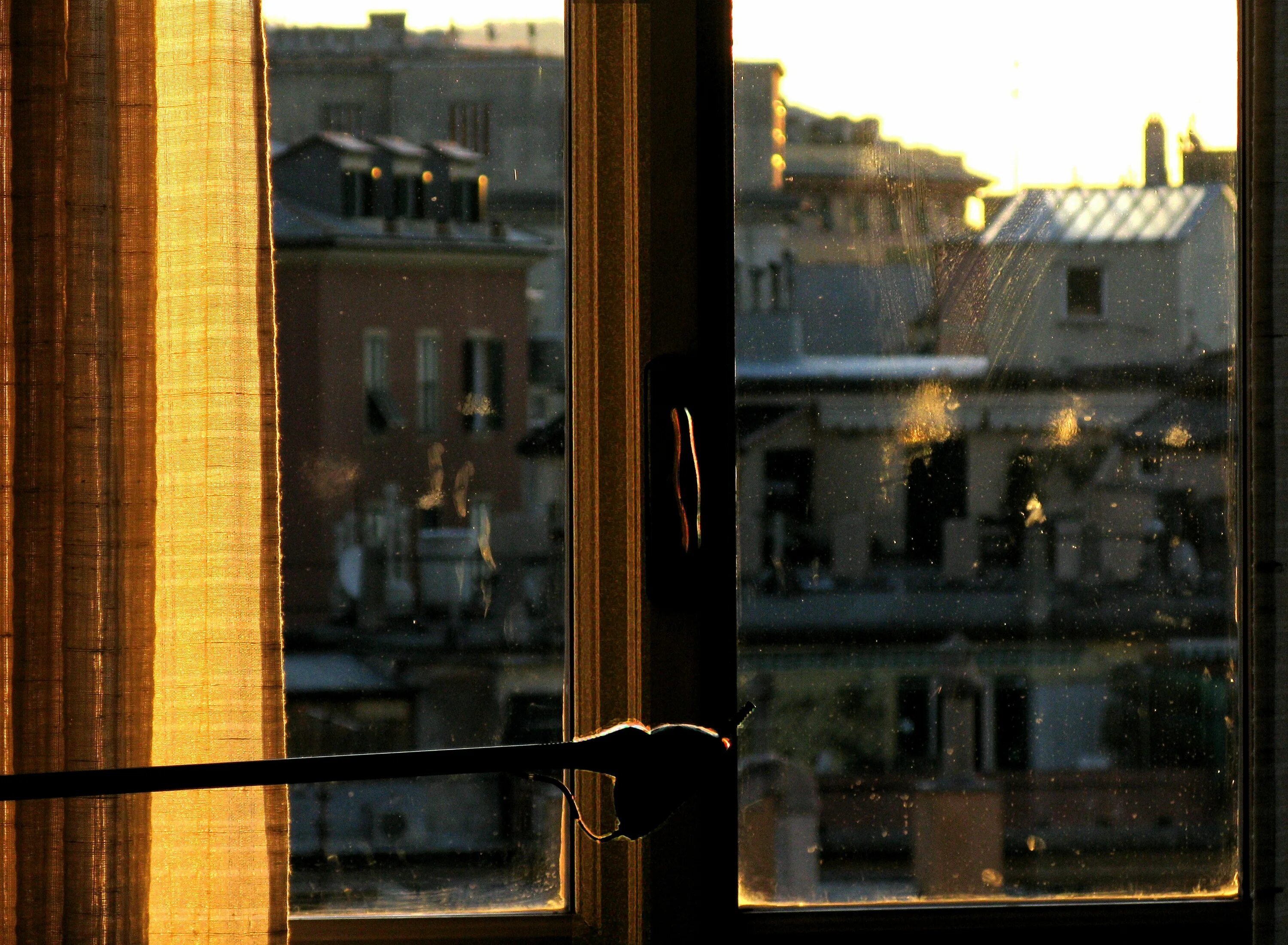 Отражение в окне. Вид из окна. Окно с видом на город. Солнце в окне.
