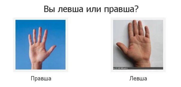 Тест определения левши