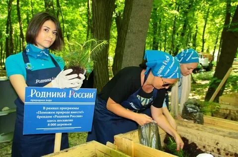 Ростов посадки
