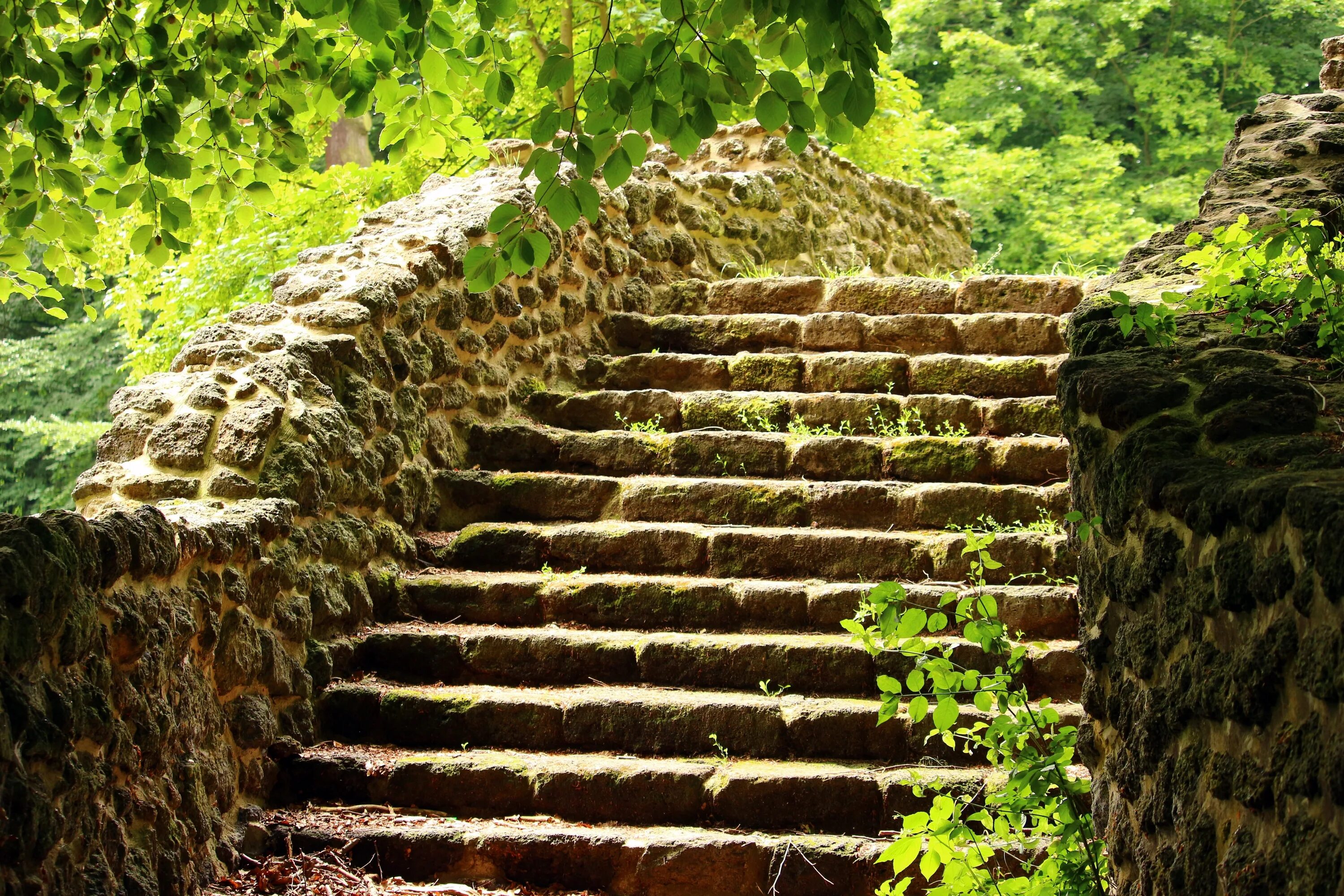 Ступени годы. Каменная лестница. Старая каменная лестница. Каменные ступени. Каменные ступеньки.