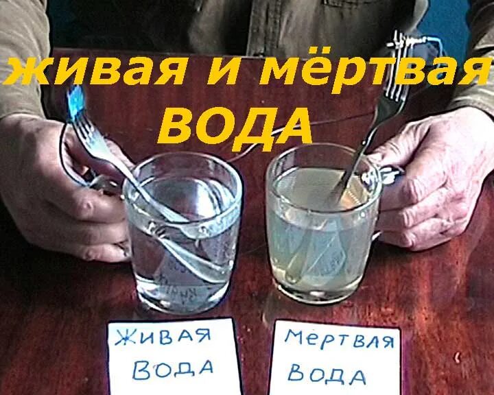 Мертвая вода где находится. Живая и мертвая вода. Живая вода и мертвая вода. Живая вода и мертвая вода прибор. Электролиз живой и мертвой воды.