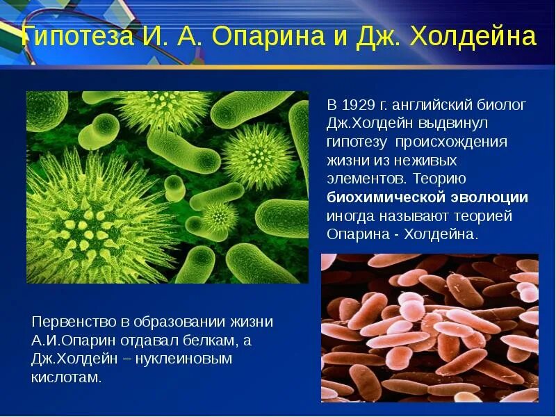 Гипотеза происхождения опарина. Гипотеза Холдейна о происхождении жизни. Теория Опарина Холдейна. Теория возникновения жизни Опарина Холдейна. Возникновение жизни Опарин.