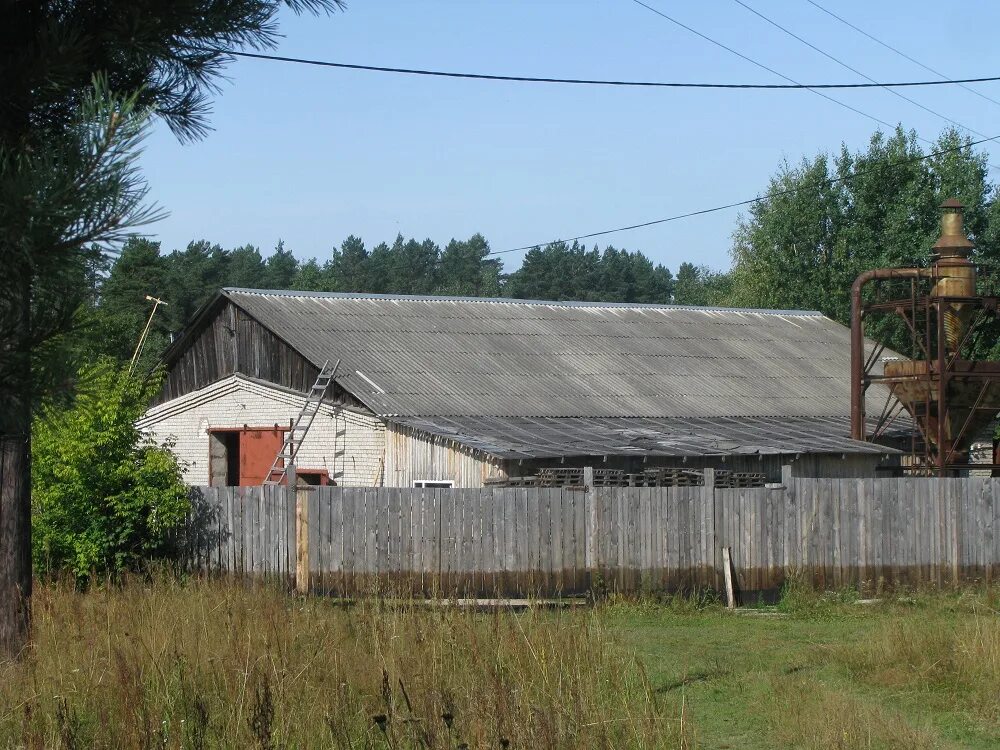 Деревня 35. Деревня 35. Едем в деревню. Кингисеппский район, вистинское сельское поселение. Чаусский район деревня чекельдым.