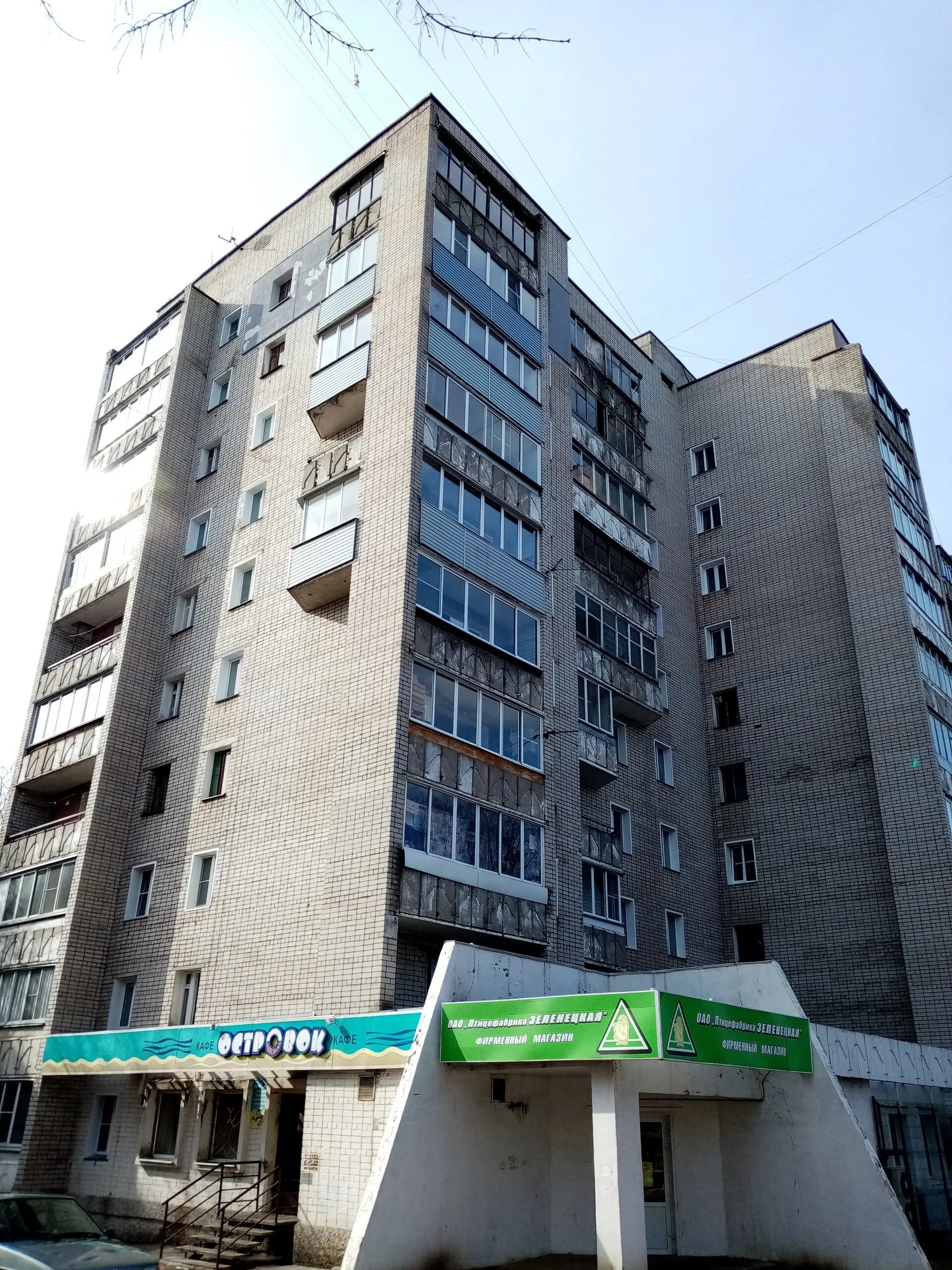 Пугачева д 9. Пугачева д 9