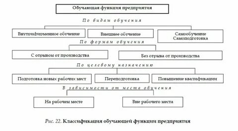 Виды обучений работников