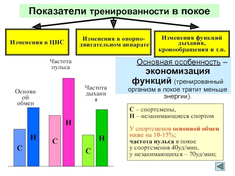 Показатели тренированности. Показатели тренированности в покое. Физиологические показатели тренированности. Показатели функциональной тренированности. Оценка тренированности