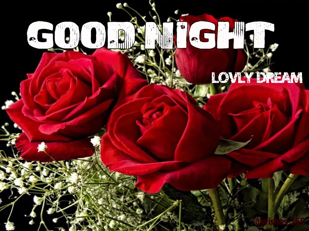 Lovely dreams. Good Night цветы. Доброй ночи цветы. Goodnight Roses. Гуднайт с цветами.