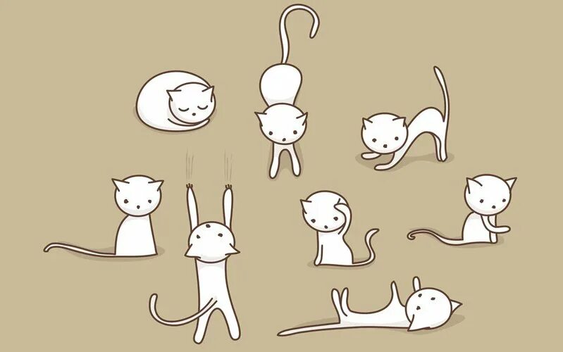 Cat set
