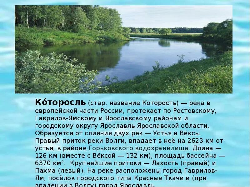 Которосль Ярославская область. Водоемы Ярославской области. Река Которосль Ярославская область. Реки и водоемы Ярославской области. Рекой называют водный