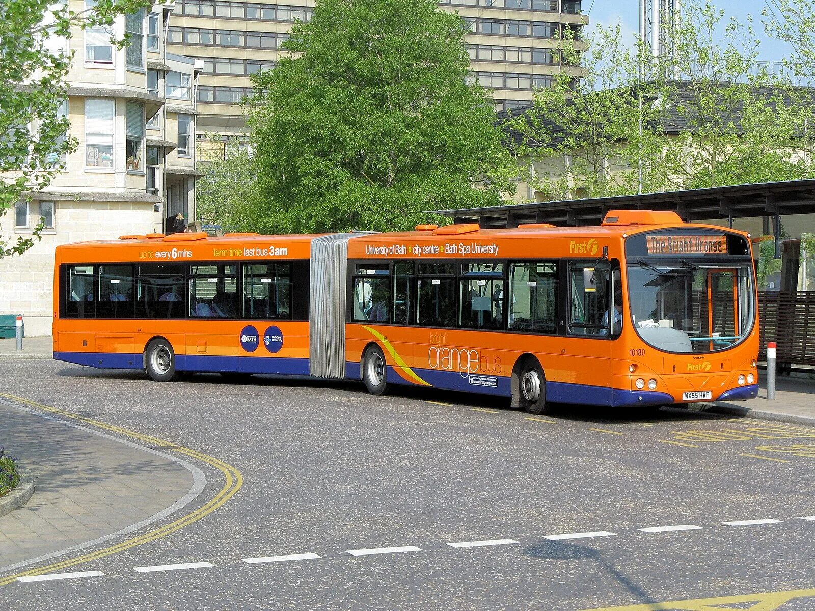 Buses it or they