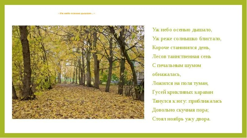 Как понять сень. Уж реже солнышко блистало короче становился день лесов таинственная. лесов таинственная сень с печальным шумом обнажалась. лесов таинственная сень. стоял октябрь уж у двора пушкин.